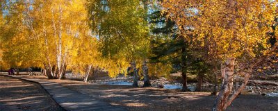 ​最经典的十首秋分诗词