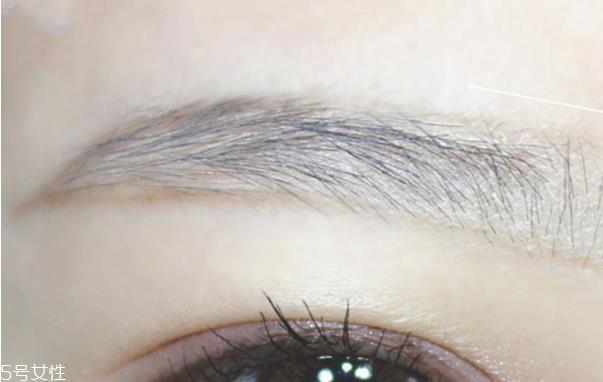 如何画好眉毛 自然系眉毛画法