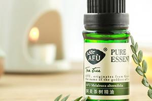 茶树精油的功效与作用