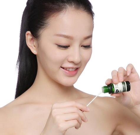 茶树精油的功效与作用