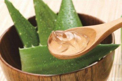​芦荟和珍珠粉能混用吗 芦荟和珍珠粉做面膜方法