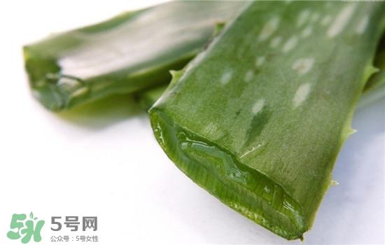 芦荟面膜的制作方法 芦荟和什么一起做面膜比较好
