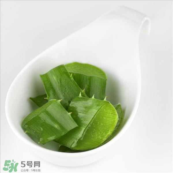 芦荟面膜的制作方法 芦荟和什么一起做面膜比较好