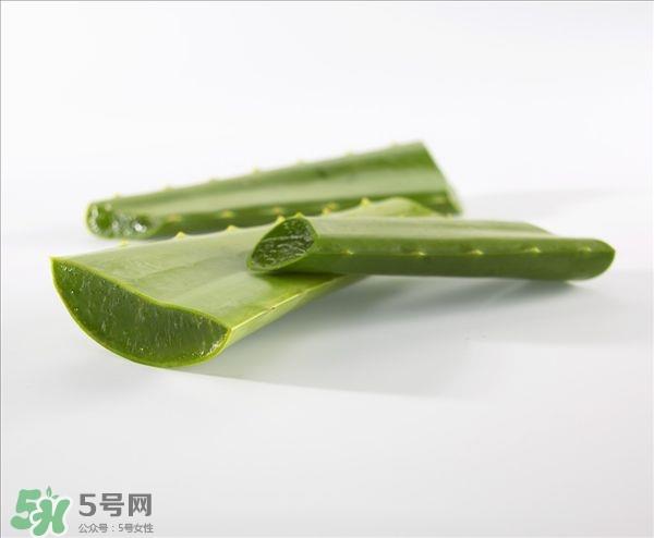 芦荟面膜的制作方法 芦荟和什么一起做面膜比较好