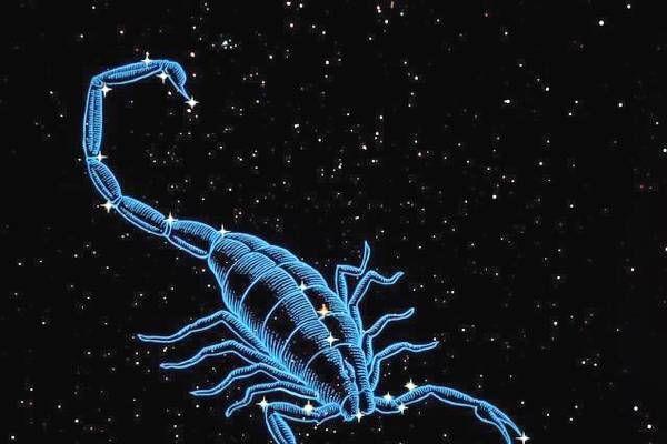 天蝎座女生生气的表现 天蝎座女生的爱情性格特点 天蝎座女生生气的表现 天蝎座女生的爱情性格特点