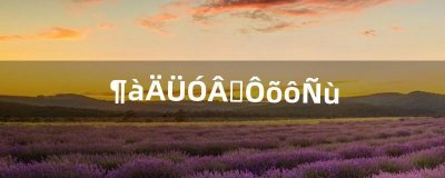 ​多能勇士怎么样（勇士300ds质量怎么样)