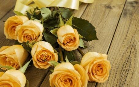 网络上约吗是什么意思,约吗下一句怎么回答