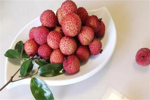 热梗秋茶什么意思网络用语,秋茶是什么暗语 2