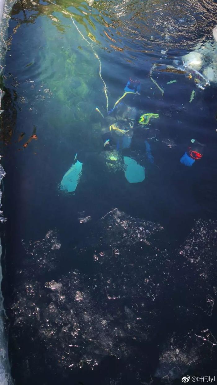 她30岁开始健身,50岁身材秒杀林志玲,这才是真正的不老女神