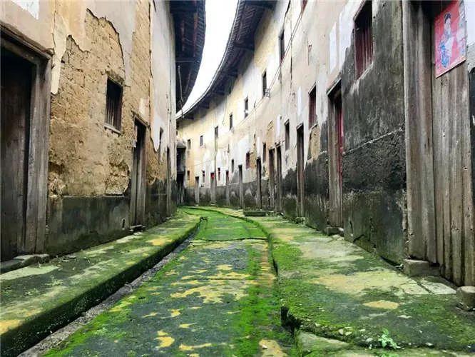 李维民精心布局竟被蔡永强一猜即中?没可能!真相在这里