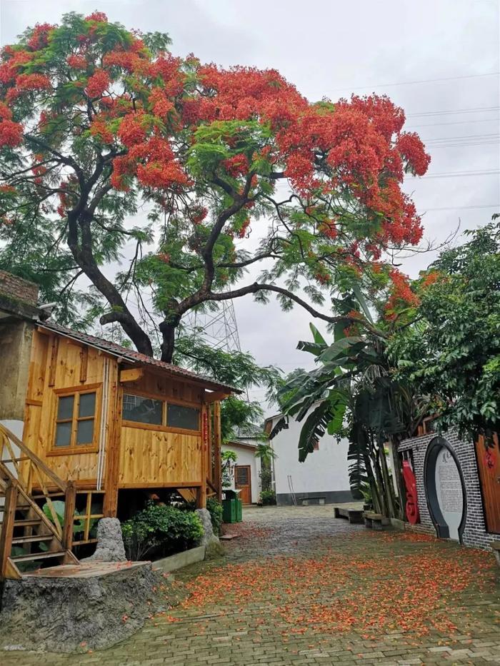 李维民精心布局竟被蔡永强一猜即中?没可能!真相在这里