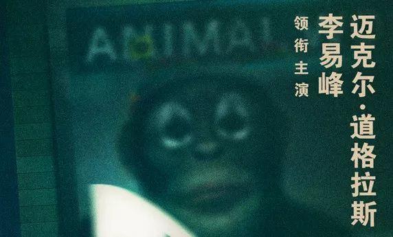李易峰主演电影《动物世界》,4款海报里隐藏的14个看点