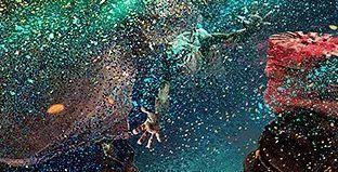 李易峰主演电影《动物世界》,4款海报里隐藏的14个看点