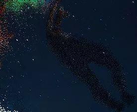 李易峰主演电影《动物世界》,4款海报里隐藏的14个看点