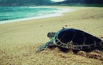 国内最低调的沿海城市,每一处海景都美的让人心醉,值得你去