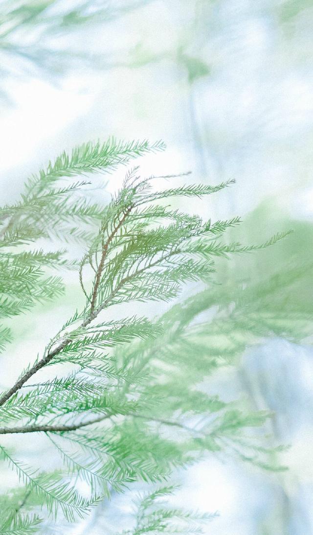 iPhoneX必备壁纸！