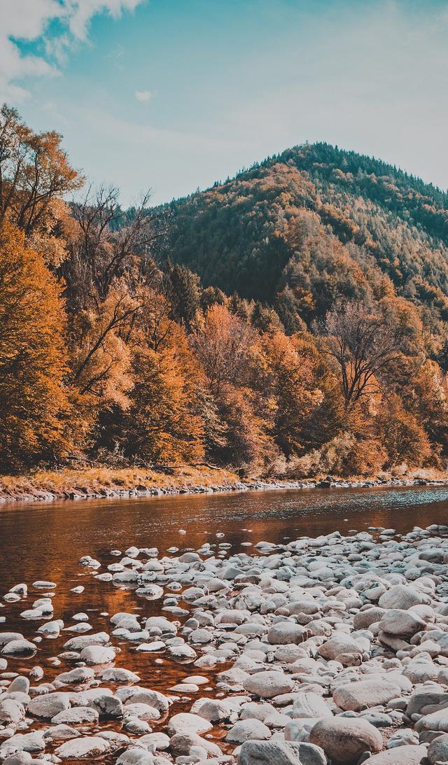 iPhoneX必备壁纸！