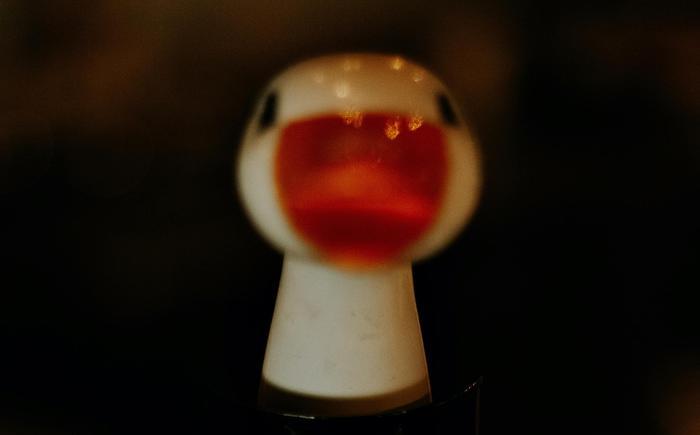 鹅组的十年奇幻漂流