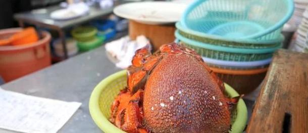 这种螃蟹长得像巨型蜘蛛,腿长4.2米,号称“杀人蟹”却败给吃货