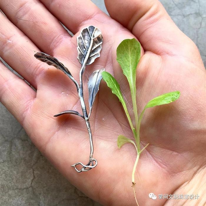 叶子,是不会飞翔的翅膀,翅膀,是落在天上的叶子