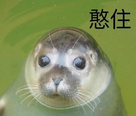 读书厉害能当饭吃吗?能!