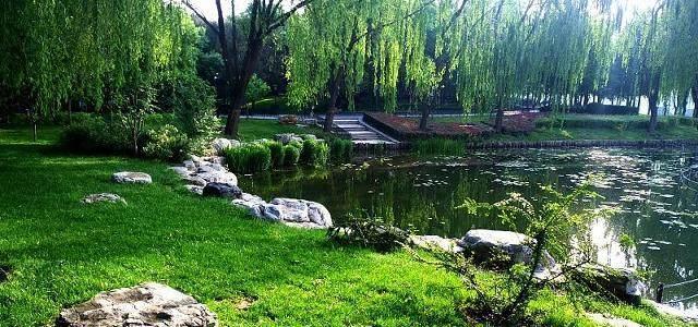 初夏最美诗词10首：日长睡起无情思，闲看儿童捉柳花