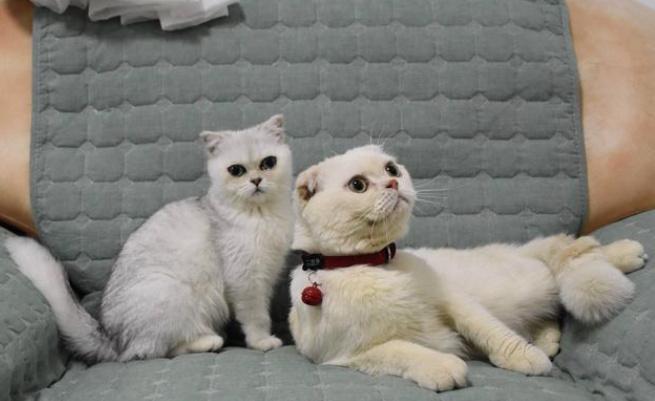 抖音公认4大男神,刘宇宁第四,刘二豆第一实至名归?