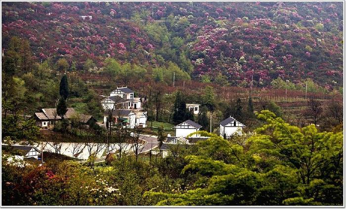 贵州人口最多的一个城市,还是一个五线城市,你知道是哪里吗