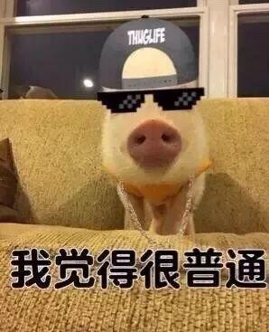 历代网红图鉴：撕x炒作傍大款，整容吸毒抄大牌？