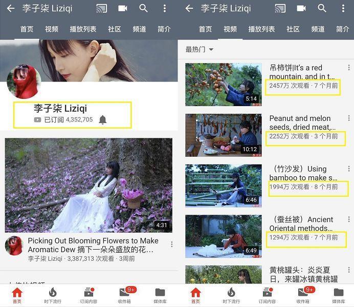 历代网红图鉴：撕x炒作傍大款，整容吸毒抄大牌？