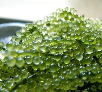 ​西餐中的“迷你小葡萄”是什么？很多人都以为是摆设，没有去吃！