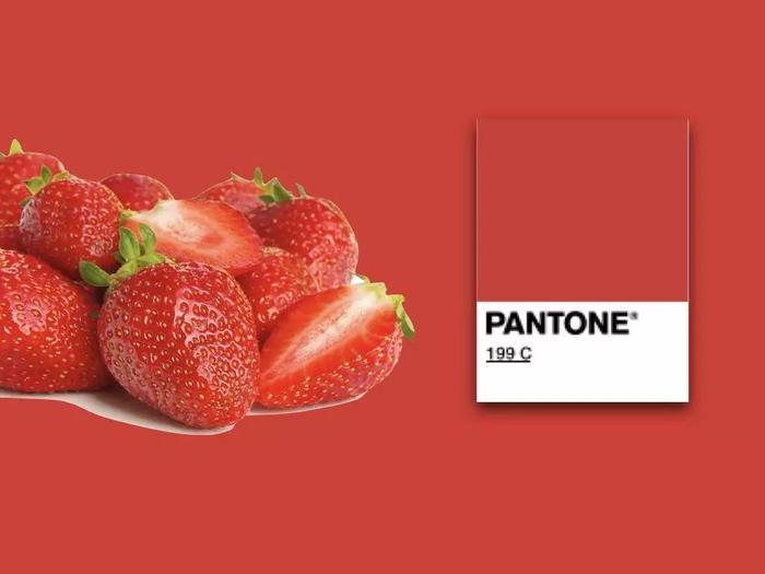 关于口红,这是篇史上最全颜色分析 1.0