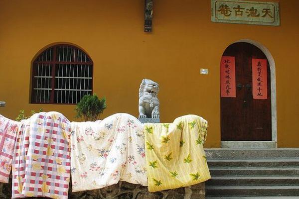 被子晒过之后，“阳光的味道”到底是什么味道呢？