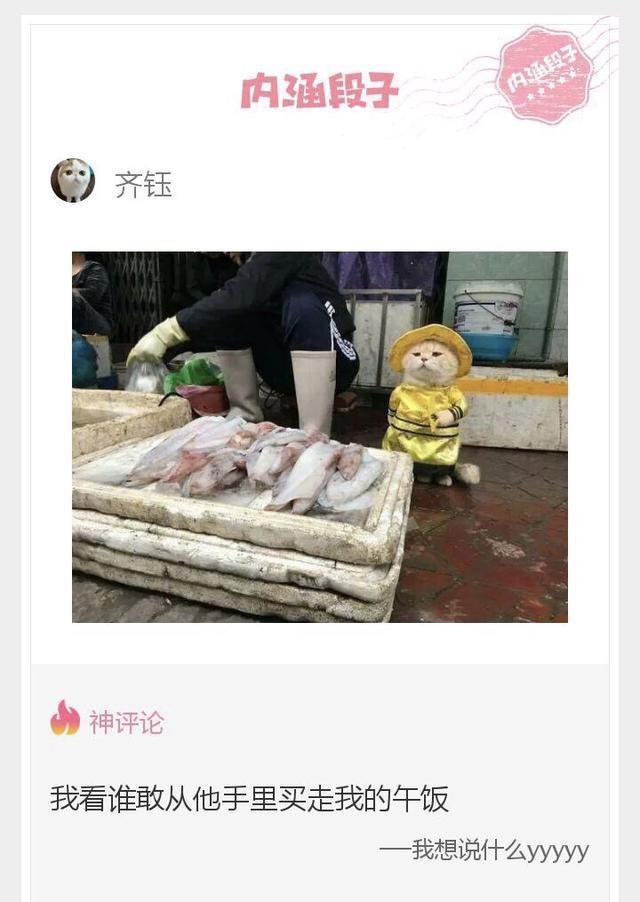 内涵神评论:感受一下什么是绝望吧!