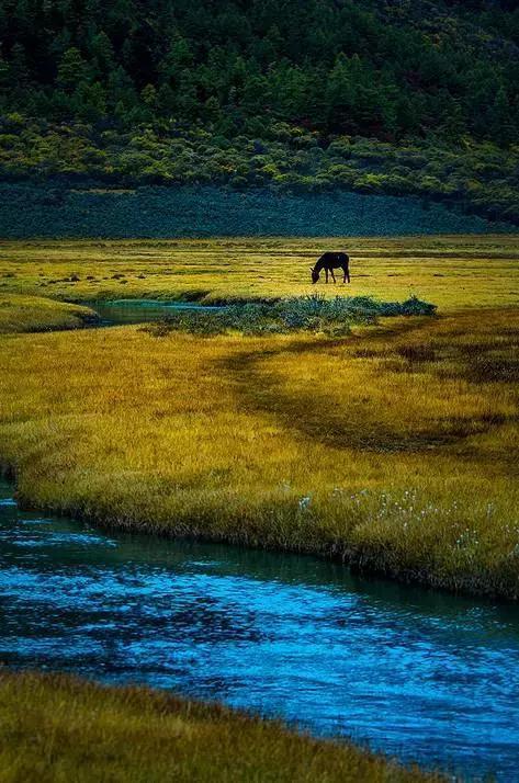 秋天的童话 在稻城亚丁遇见你 6日自驾