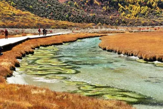 秋天的童话 在稻城亚丁遇见你 6日自驾