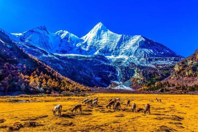 秋天的童话 在稻城亚丁遇见你 6日自驾