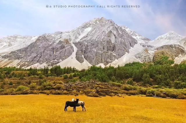 秋天的童话 在稻城亚丁遇见你 6日自驾