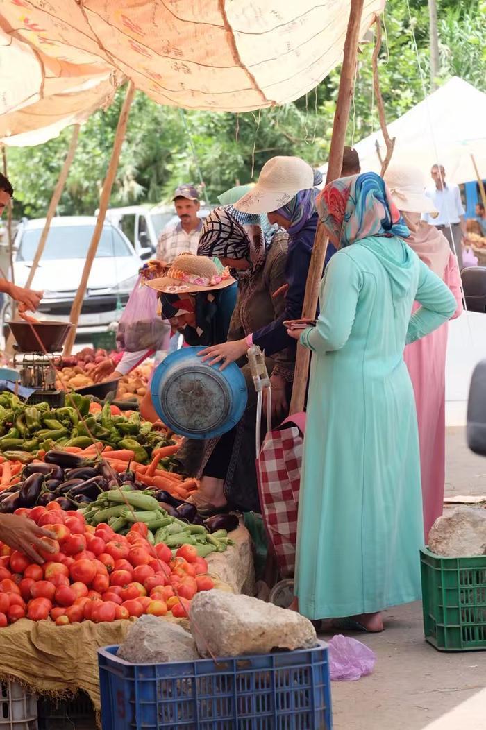 一年穷游14国的女孩陈梦婷旅行和拍照让我有了生命力