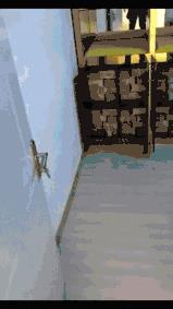 搞笑GIF:长尾巴到底是干什么用的