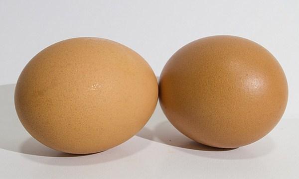 市场上的人造鸡蛋和真鸡蛋有什么区别,掌握这几个小窍门轻松识别