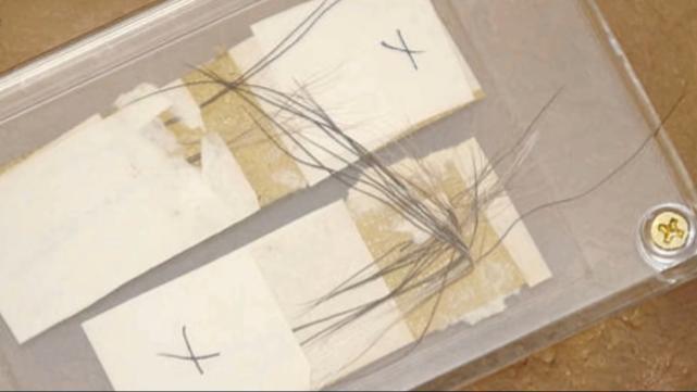 “喜马拉雅雪人”真的存在吗?许多人曾亲眼看到,它竟长这样!