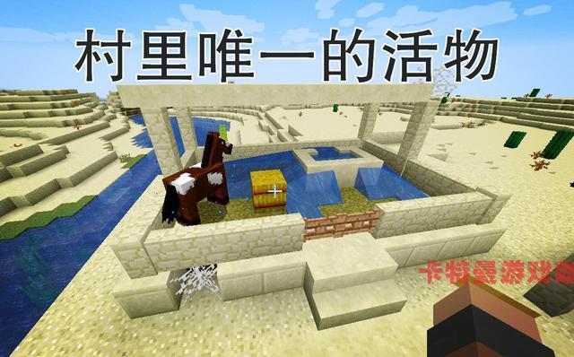 我的世界：1.14版本只有1%生成率的无人村庄，连僵尸都不存在