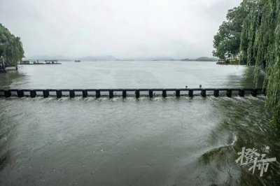 西湖九大出水口全开泄洪!封闭中的集贤亭,被它们“占领”了