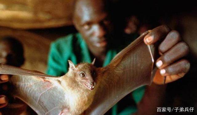 不明病毒在非洲蔓延,传染力被严重低估,两亿人面临感染风险