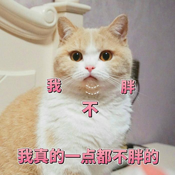 一组可爱猫咪蜜桃的表情包分享