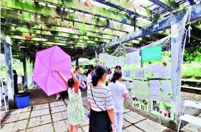 小学师生数月观察树木生长 荷花池畔60幅自然笔记引围观