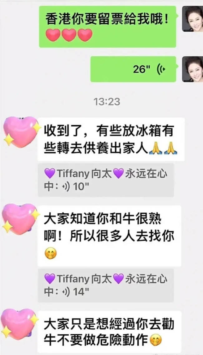 向太劝刘德华不要做危险动作 晒与朱丽倩聊天记录