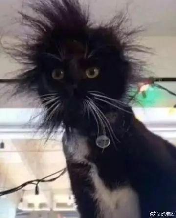 新郎婚礼中沉迷游戏,新娘在边上生无可恋!