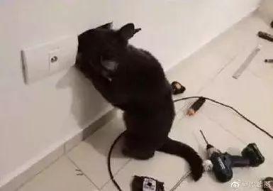 新郎婚礼中沉迷游戏,新娘在边上生无可恋!